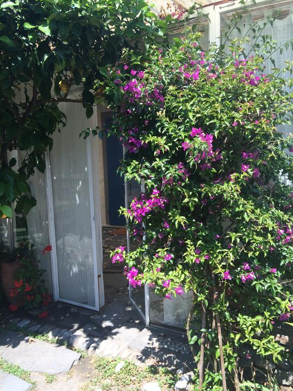 Il Nido Sul Mare A Forte Dei Marmi Habitación foto